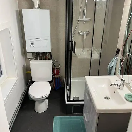 公寓 Duplex Avec Parking A 100m De La 德帕内